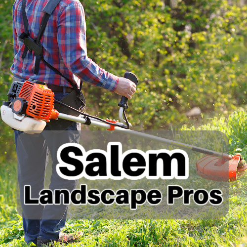 Salem Landscape Pros