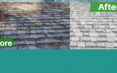 Nathan A. Murray Roof Moss Removal: Monmouth’s Trusted Exterior Cleaning Specialist