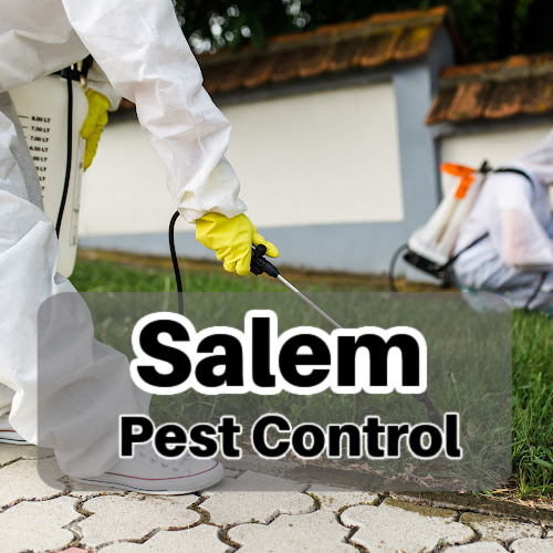 Salem Pest Control