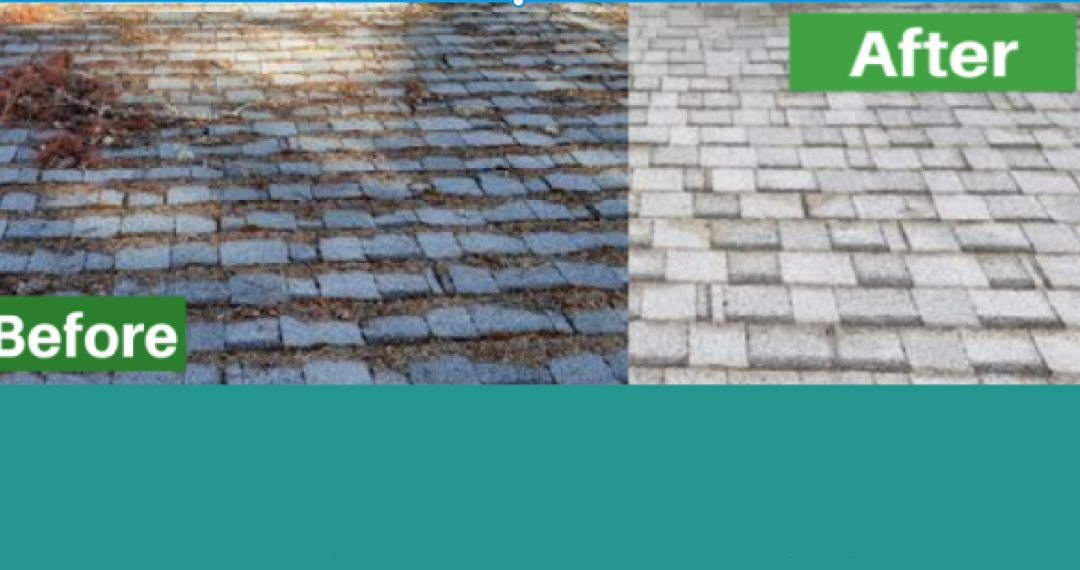 Nathan A. Murray Roof Moss Removal: Monmouth’s Trusted Exterior Cleaning Specialist